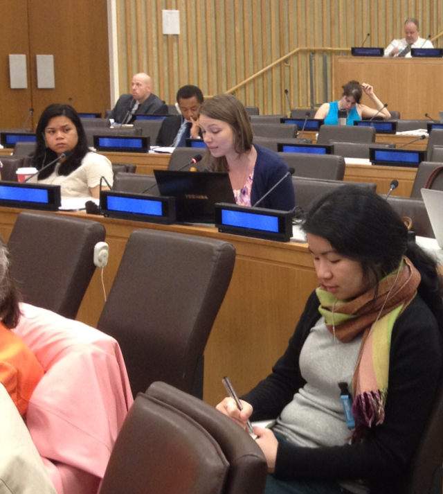 10th OWG at the&nbsp;UN